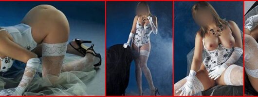 vip escort elena vip escort elena