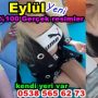 Mankenliği yeni bırakan seksi Eylül sizlerle - Resim3